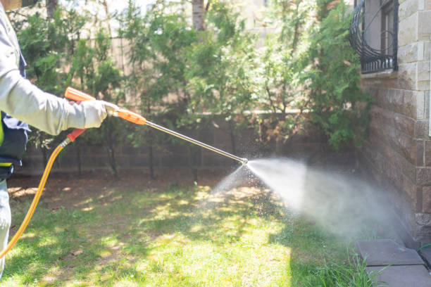 Best Residential Pest Control  in Graham, TX